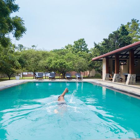קירינדה Yala Chalets By Lalan Leisure מראה חיצוני תמונה