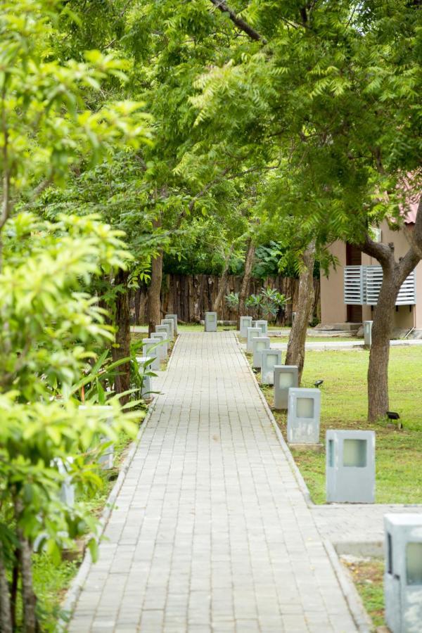 קירינדה Yala Chalets By Lalan Leisure מראה חיצוני תמונה