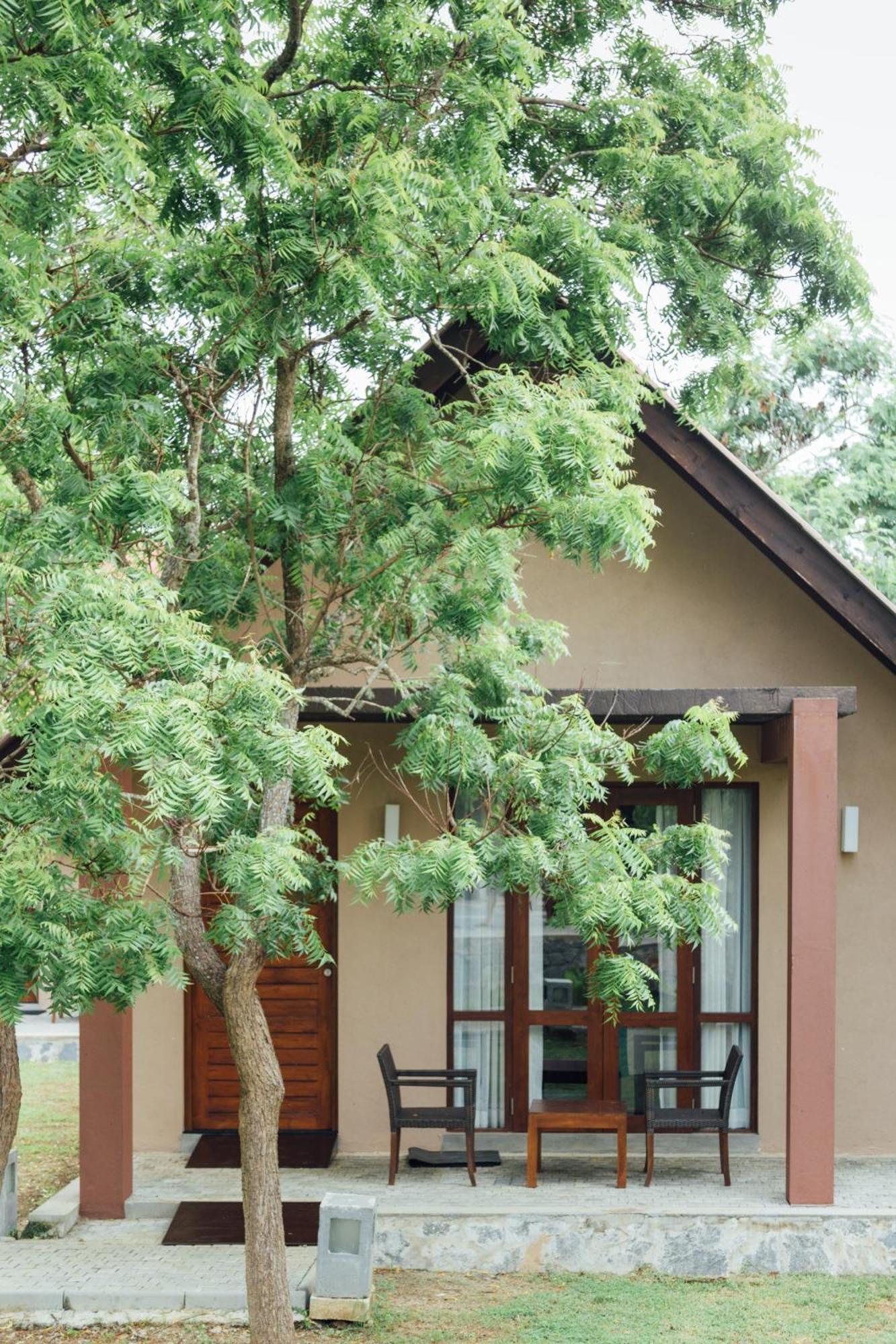 קירינדה Yala Chalets By Lalan Leisure מראה חיצוני תמונה