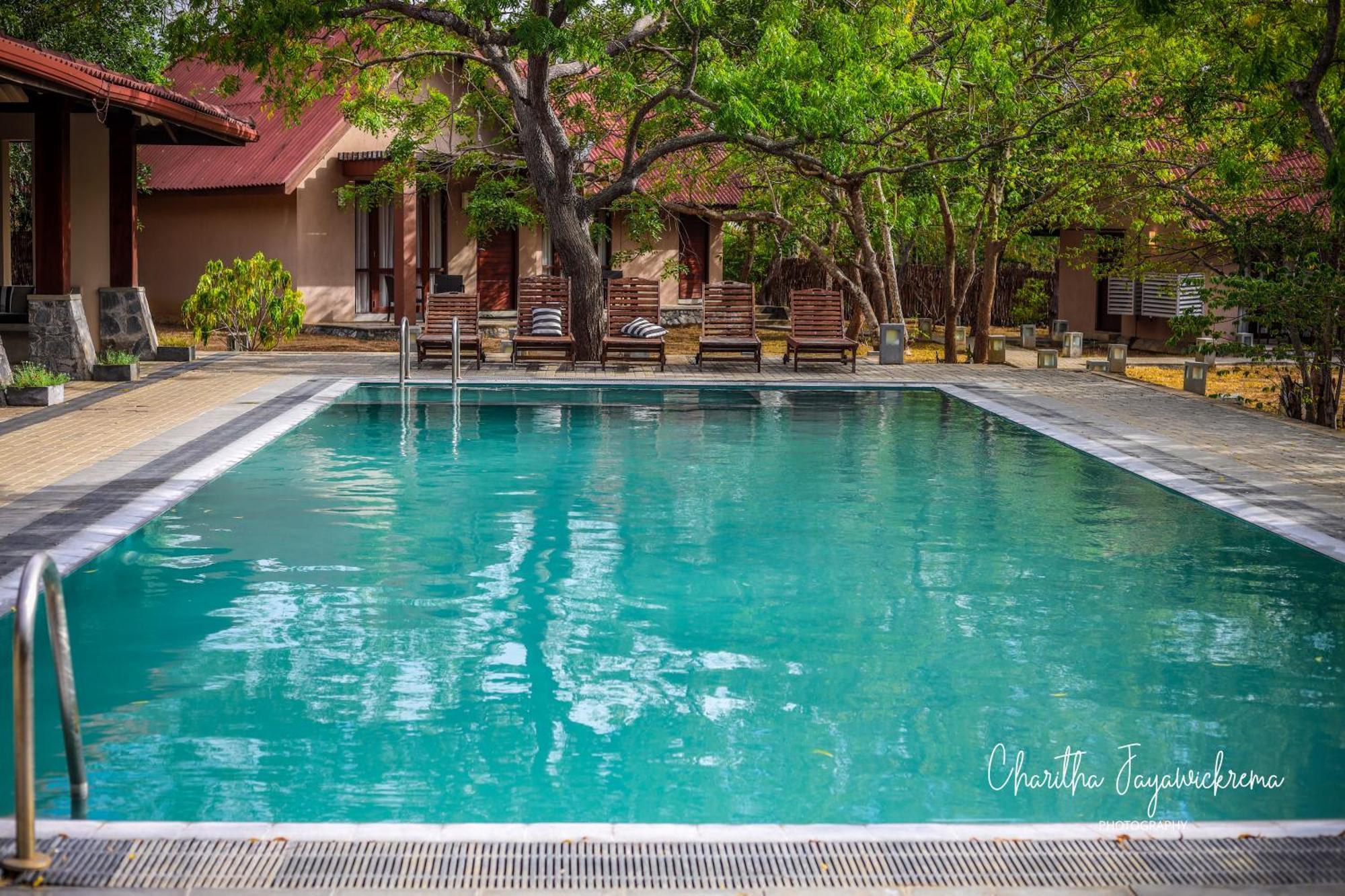 קירינדה Yala Chalets By Lalan Leisure מראה חיצוני תמונה