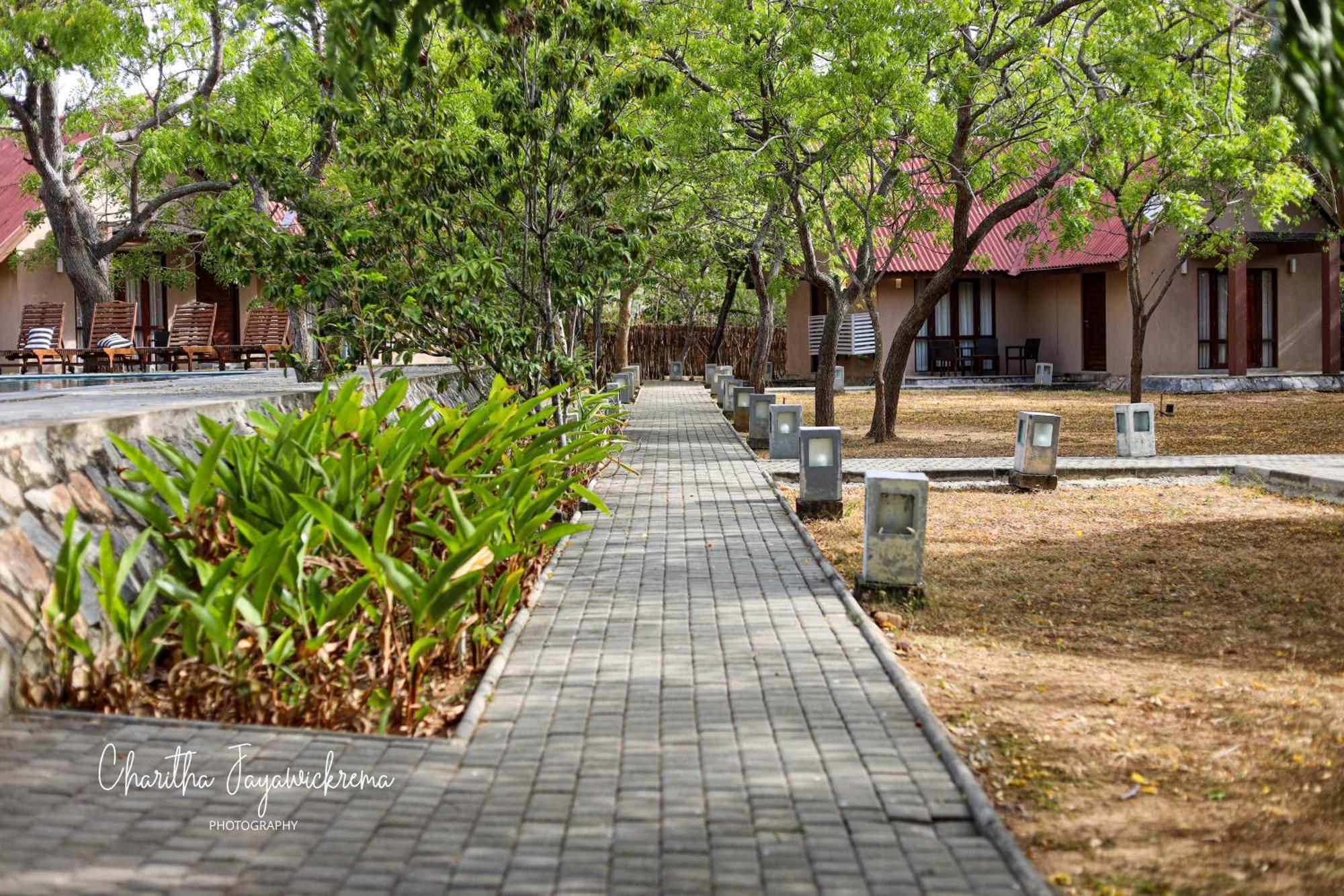 קירינדה Yala Chalets By Lalan Leisure מראה חיצוני תמונה